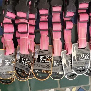 American Kennel Club LED Dog Collar. Take All 10 For That Price.